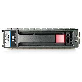 HP 461134-003 1TB