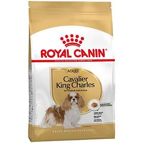 Royal Canin BHN Cavalier King Charles 3kg