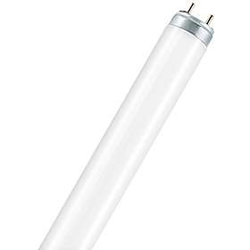 Osram Lumilux De Luxe T8 954 2600lm G13 36W
