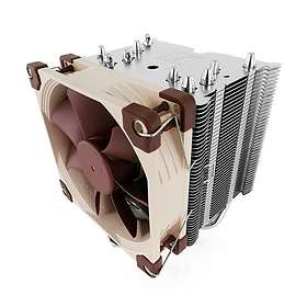 Noctua