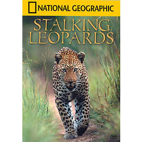 National Geographic - Stalking Leopards (DVD)