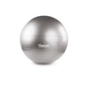 Tiguar Safety Plus Gym Ball 65cm