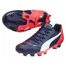 puma evospeed 4.2
