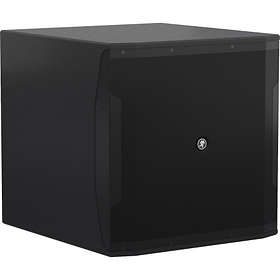 Subwoofers de sonorisation