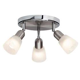 Brilliant Bethany (3L)