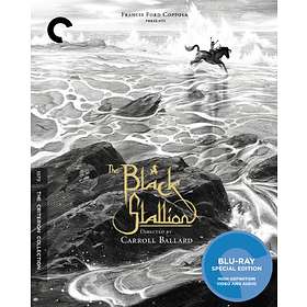 The Black Stallion - Criterion Collection (US) (Blu-ray)