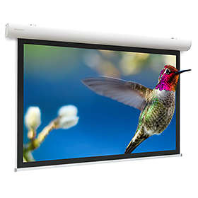 Projecta Elpro RF Concept Matte White 1:1 119" (215x215)