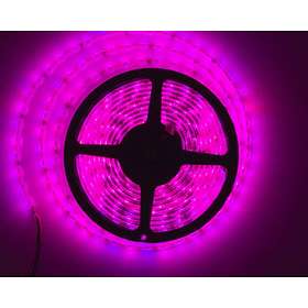 LEDwarehouse LED Slinga IP68 14,4W/m RGB 60L (5m)