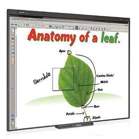 SMART Technologies V30