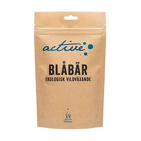Holistic Active Blåbärspulver Ekologisk 100g