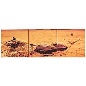 Wallity 228CLA2674