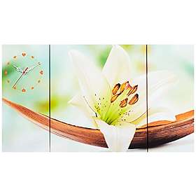 Wallity 228CLA3623