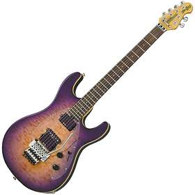 Music Man Steve Morse Y2D