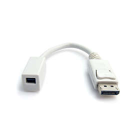 DisplayPort Mini