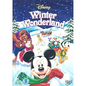 Disney Winter Wonderland