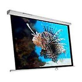 Phoenix Technologies Manual Matte White 1:1 112" (200x200)