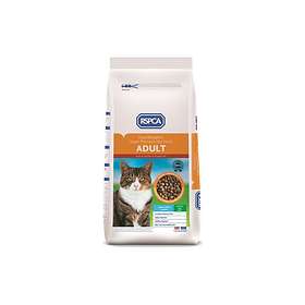 Rspca dry cat store food