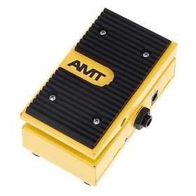 AMT LLM-2