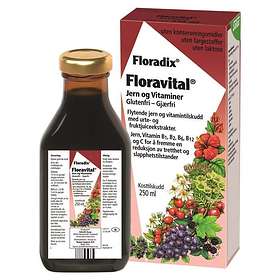 Salus Floradix Floravital Herbal Iron & Vitamin Formula 250ml