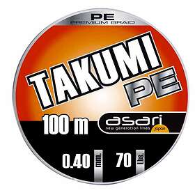 Asari Takumi PE 0.80mm 10x100m