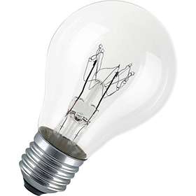 Bulb