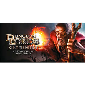 Dungeon Lords - Steam Edition (PC)