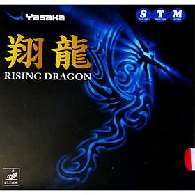Yasaka Rising Dragon