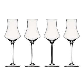 Avec-glas