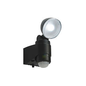 Poole Lighting Laryn