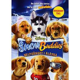 Snow Buddies: Valpgänget I Alaska (DVD)