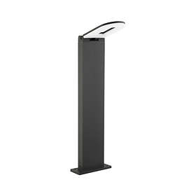 Pole light