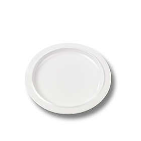 Dinner Plate 