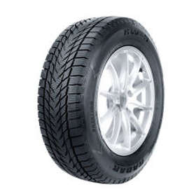 Radar Tires RW 5 Ice 175/70 R14 84T