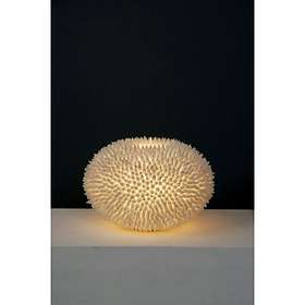 Holländer Sirena Bianco