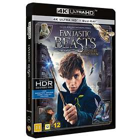 Fantastic Beasts and Where to Find Them (UHD+BD)