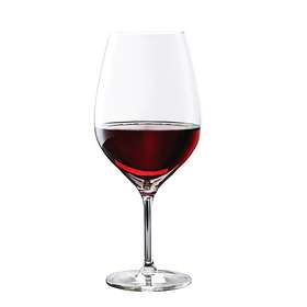 Aida Passion Punaviinilasi 48cl 2-pack