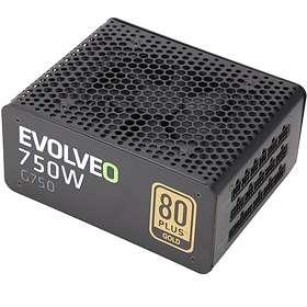 Evolveo G750 550W