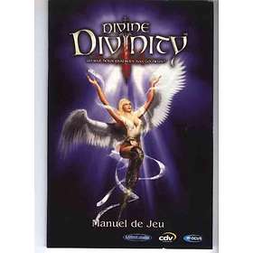 Divine Divinity (PC)