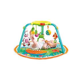 Tiny Love Gymini 123 Here I Grow! Babygym