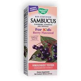 Nature's Answer Sambucus Black Elderberry Extract 120ml