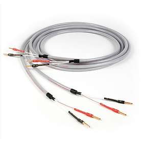 Chord Shawline 2Banana - 2Banana (pair) 3m