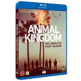 Animal Kingdom - Saison 1 (Blu-ray)