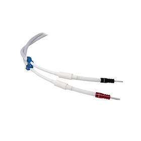 Chord ChordMusic 2Banana - 2Banana (par) 1,5m