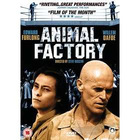 Animal Factory (UK) (DVD)