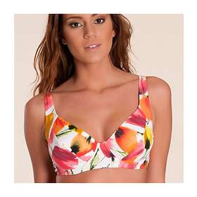 Panos Emporio Pisa-3 Bikini Top (Women's)