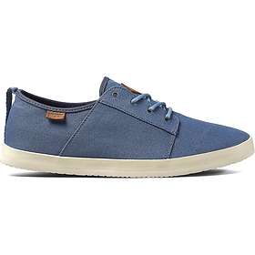 Reef Leucadian (Herre)