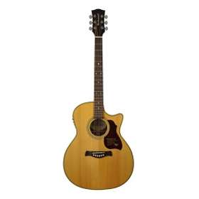 Richwood G-65 CE VA (CE)