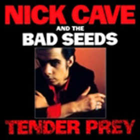 Nick Cave and The Bad Seeds: Tender Prey (DVD)