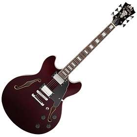 Dangelico Premier DC (HB)