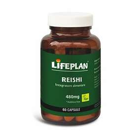 Reishi / Cordyceps